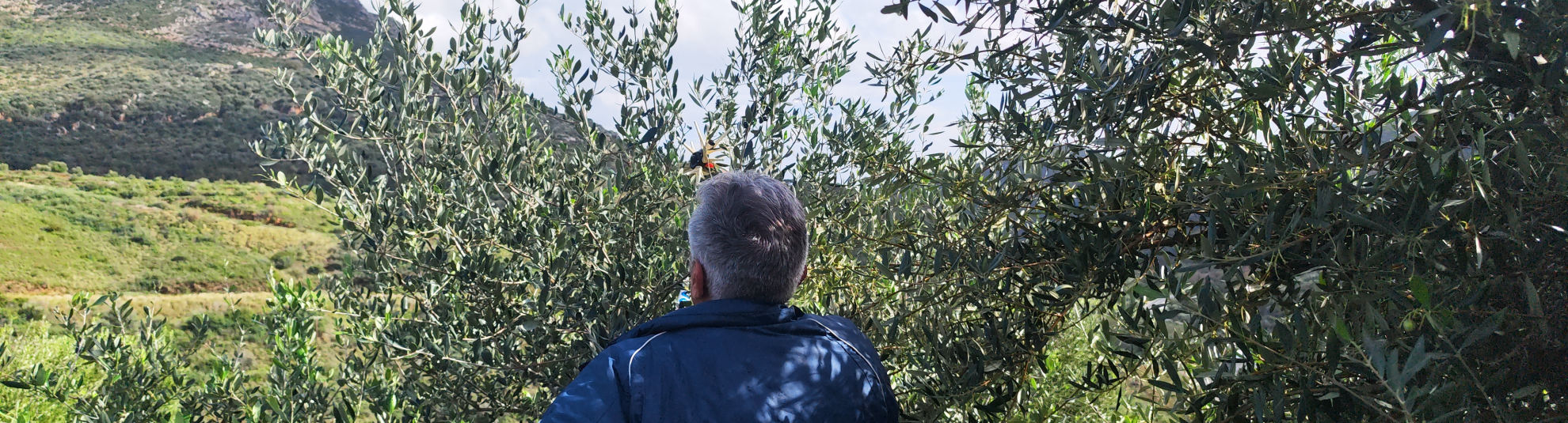 Περιορισμένη Παραγωγή — Η Επιλογή της Ποιότητας