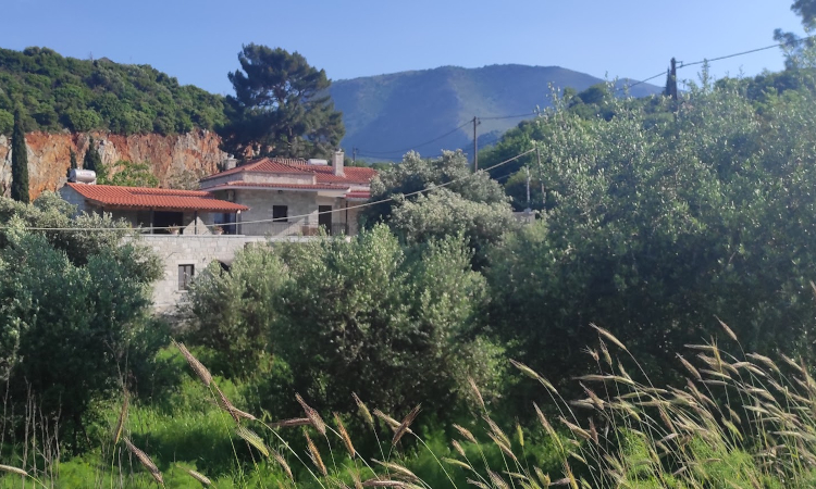 Ιδιόκτητος Ελαιώνας, Ανατολική Μάνη