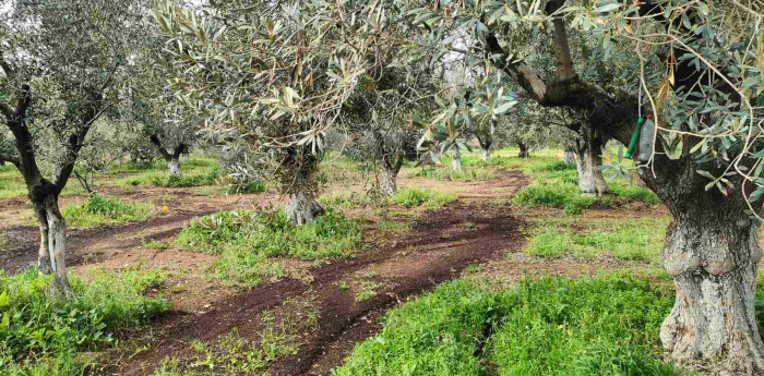 Η Φροντίδα Ξεκινά από το Χώμα