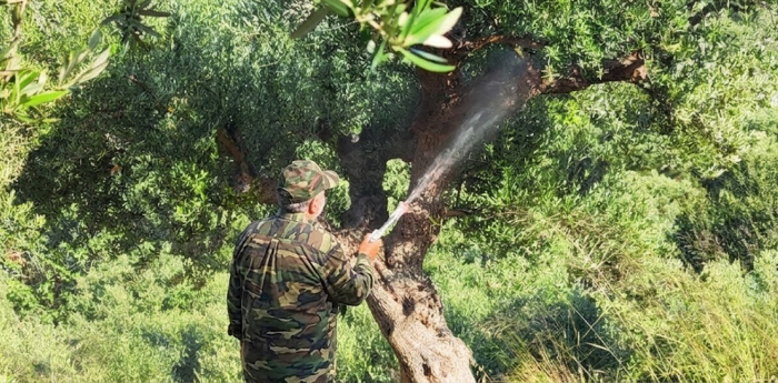 Μάιος - Καρπόδεση και Βιολογική Ενίσχυση