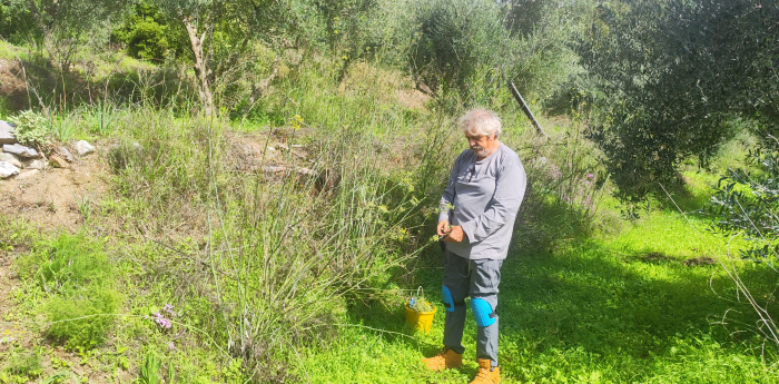 Γνωρίζοντας την Άγρια Μαραθιά της Μάνης