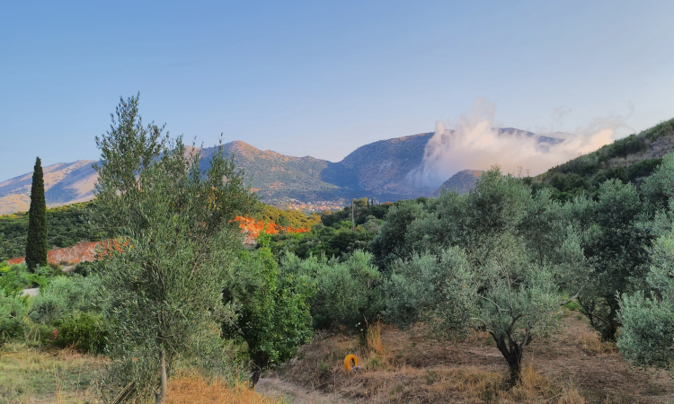 Ξηρική Καλλιέργεια