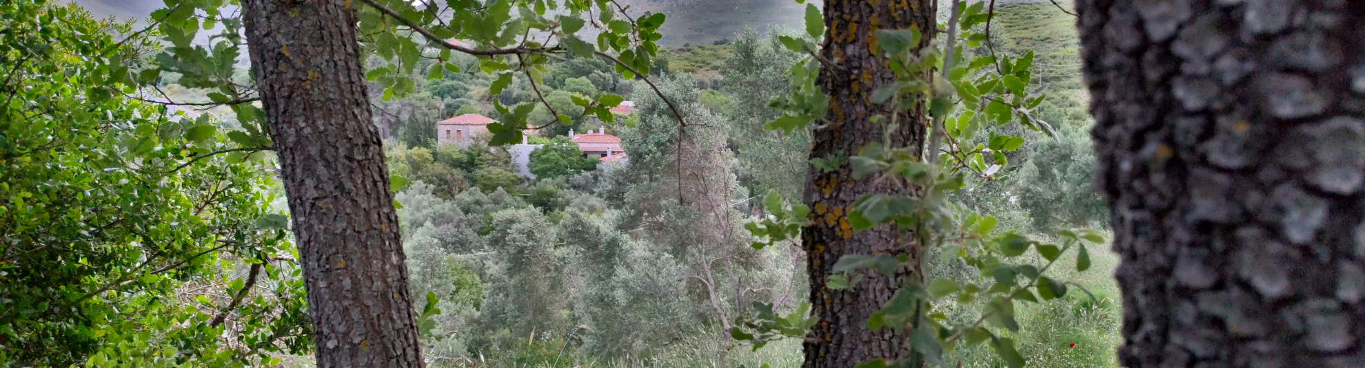 Blog του KOTRAPHOS ESTATE