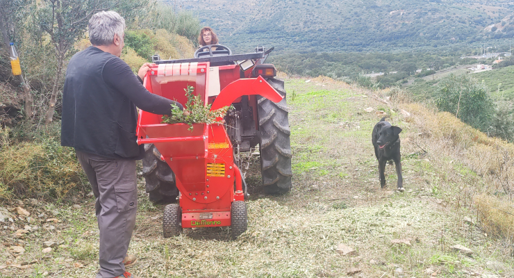 Kotraphos Estate — Μάνη, μικροκλίμα, ελαιώνας