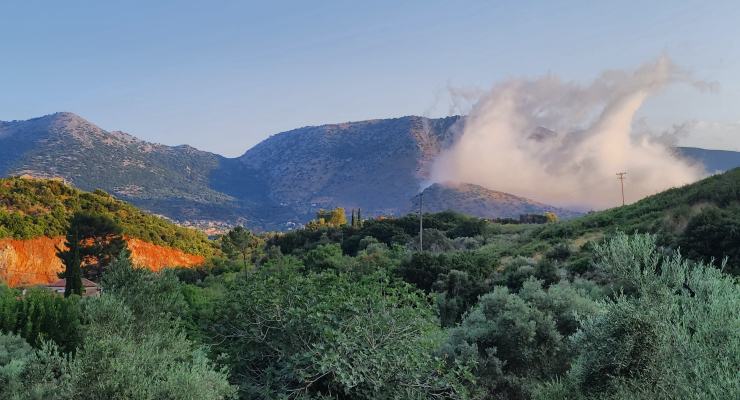 Kotraphos Estate — Μάνη, μικροκλίμα, ελαιώνας