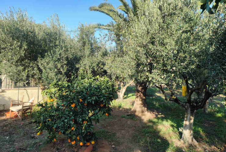 Pyrgos